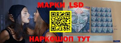 шишки Обнинск